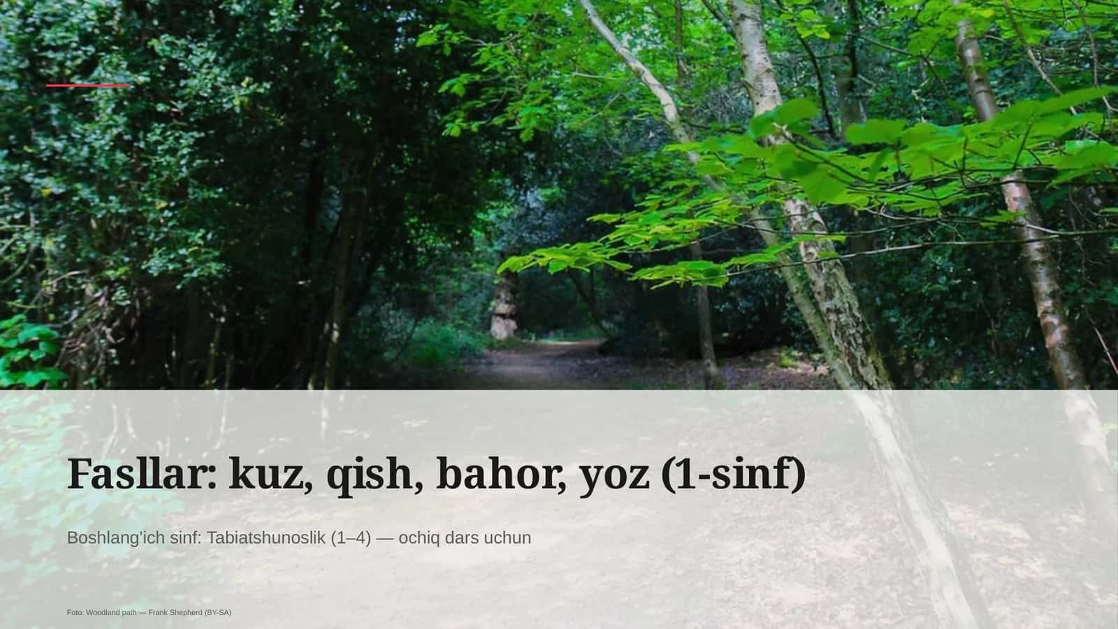 Tabiatshunoslik dars rejasi 1