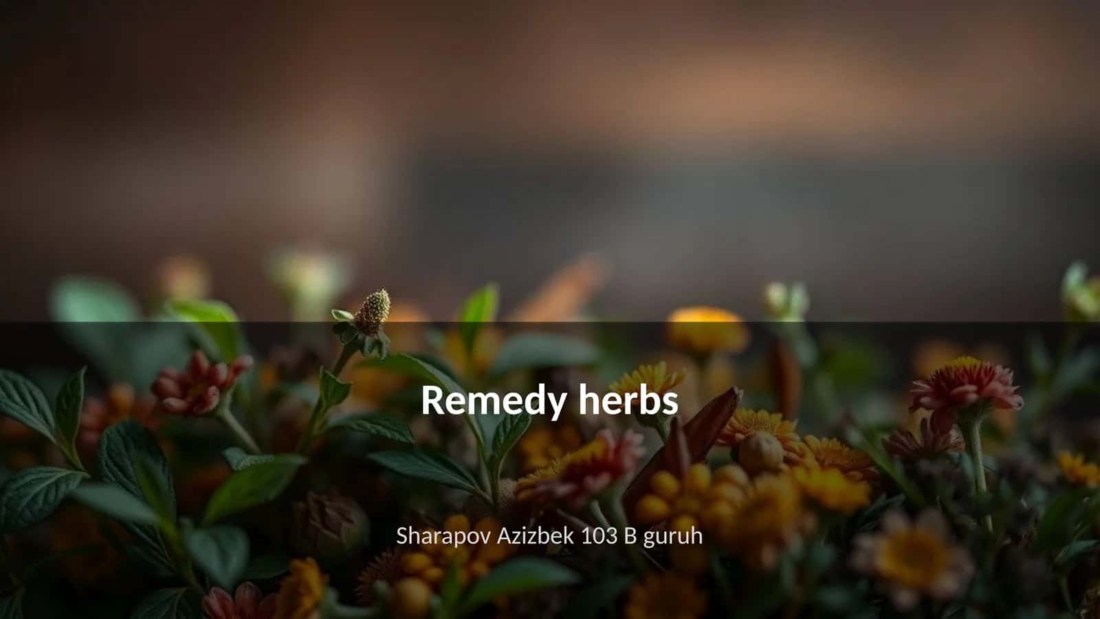 Remedy herbs 1
