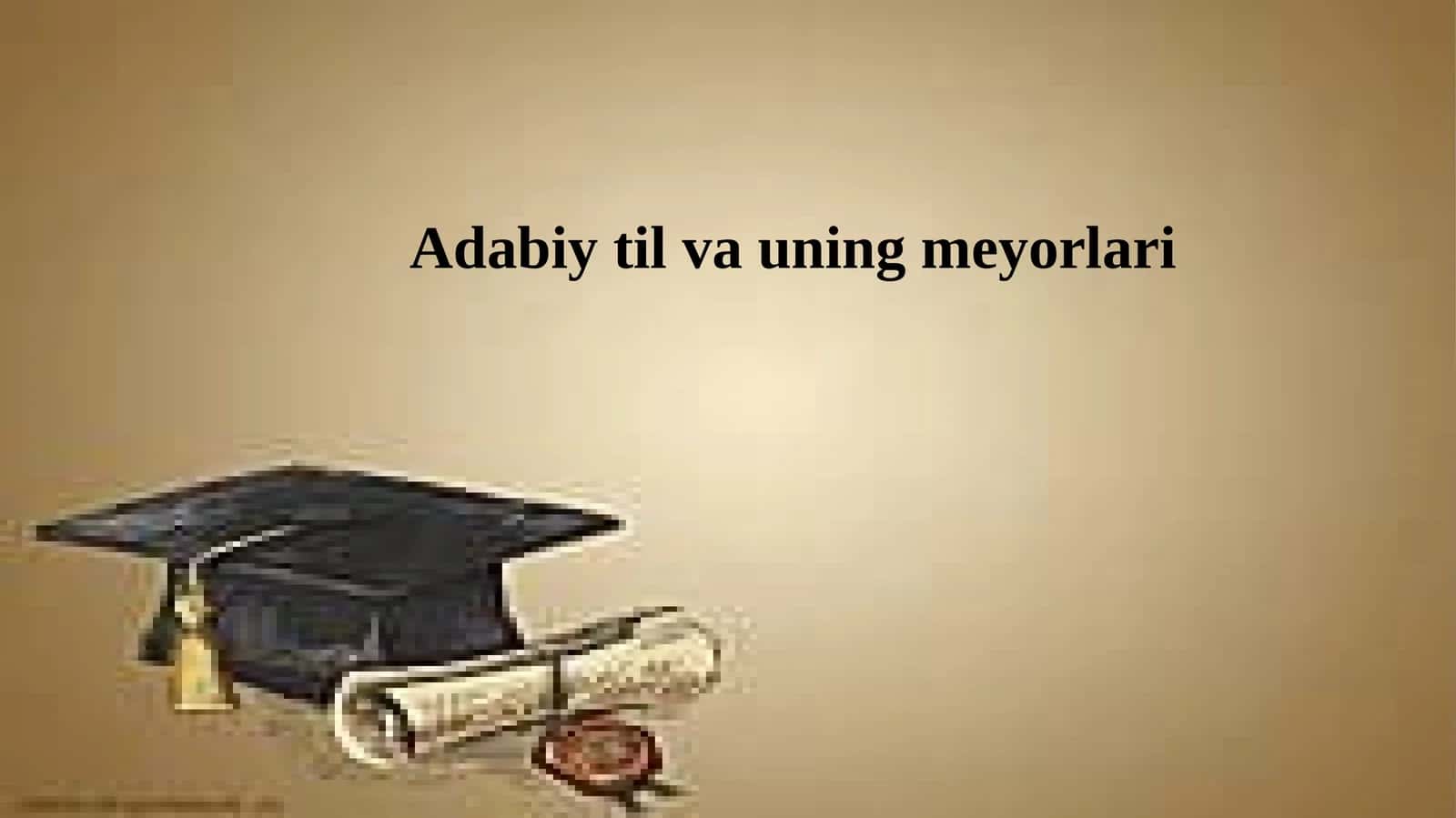 Adabiy til va uning meyorlari 1