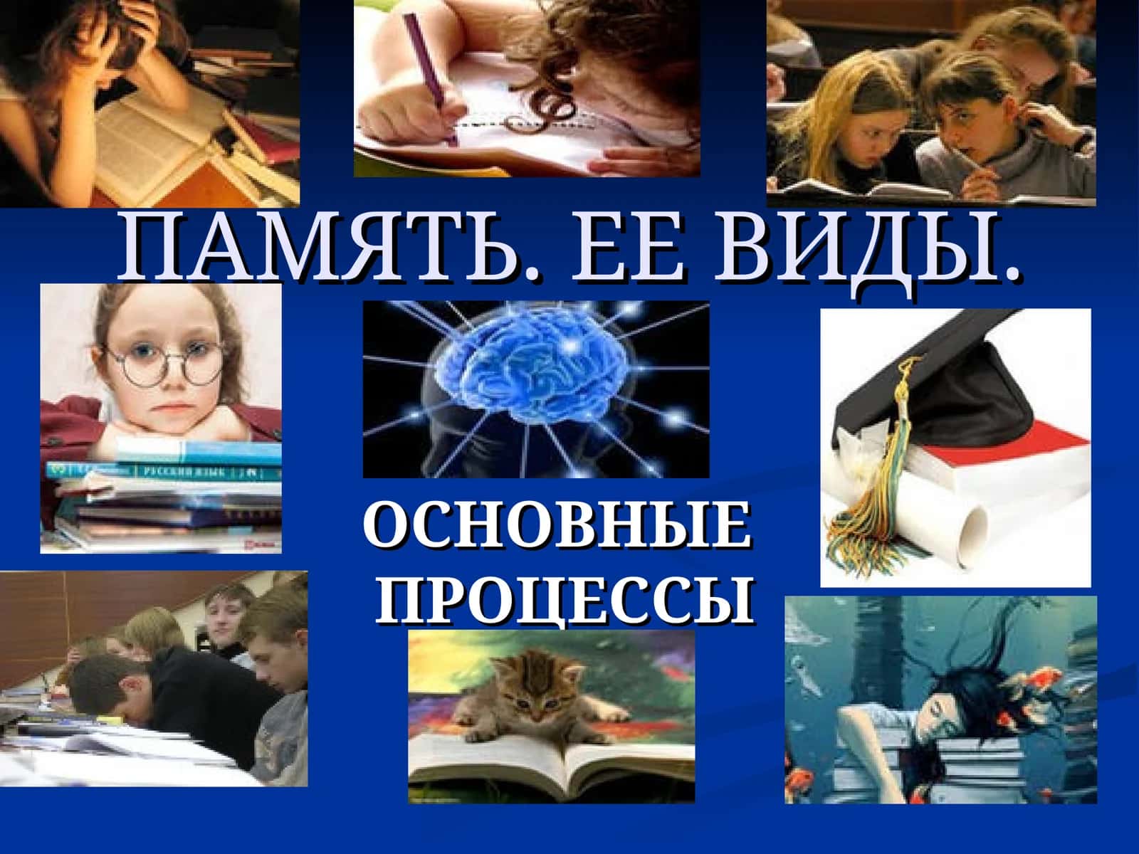 ПАМЯТЬ. ЕЕ ВИДЫ 1