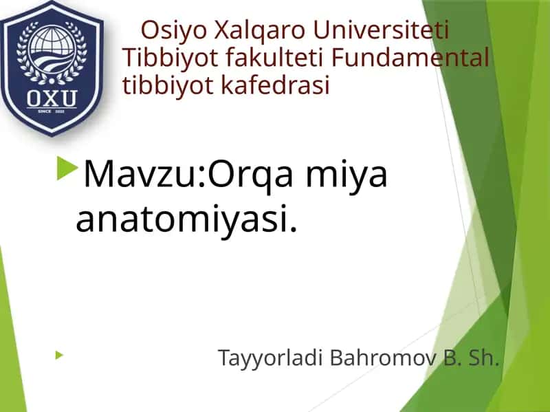 Orqamiya anatomiyasi 1
