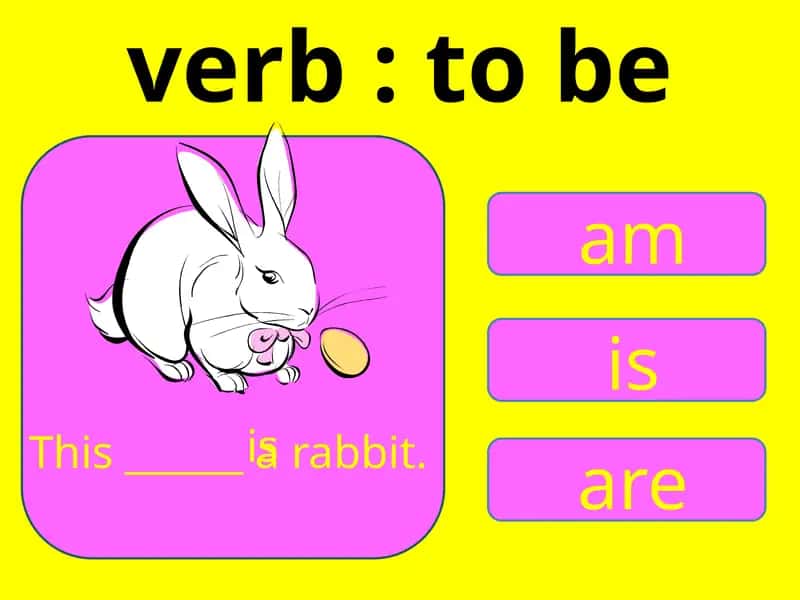 French Language Practice 1