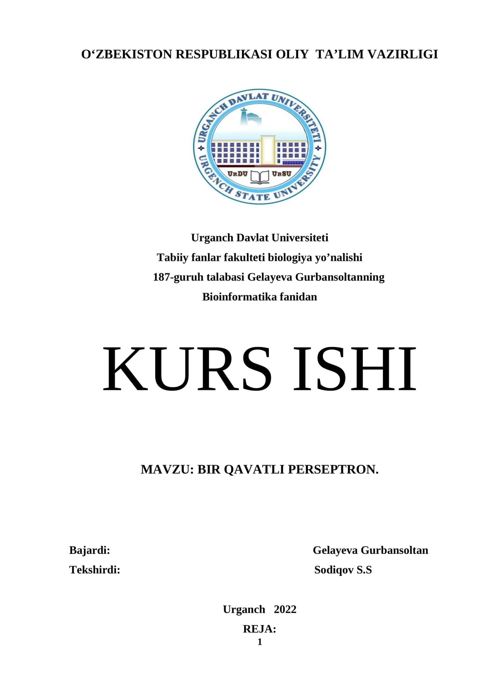 BIR QAVATLI PERSEPTRON 1