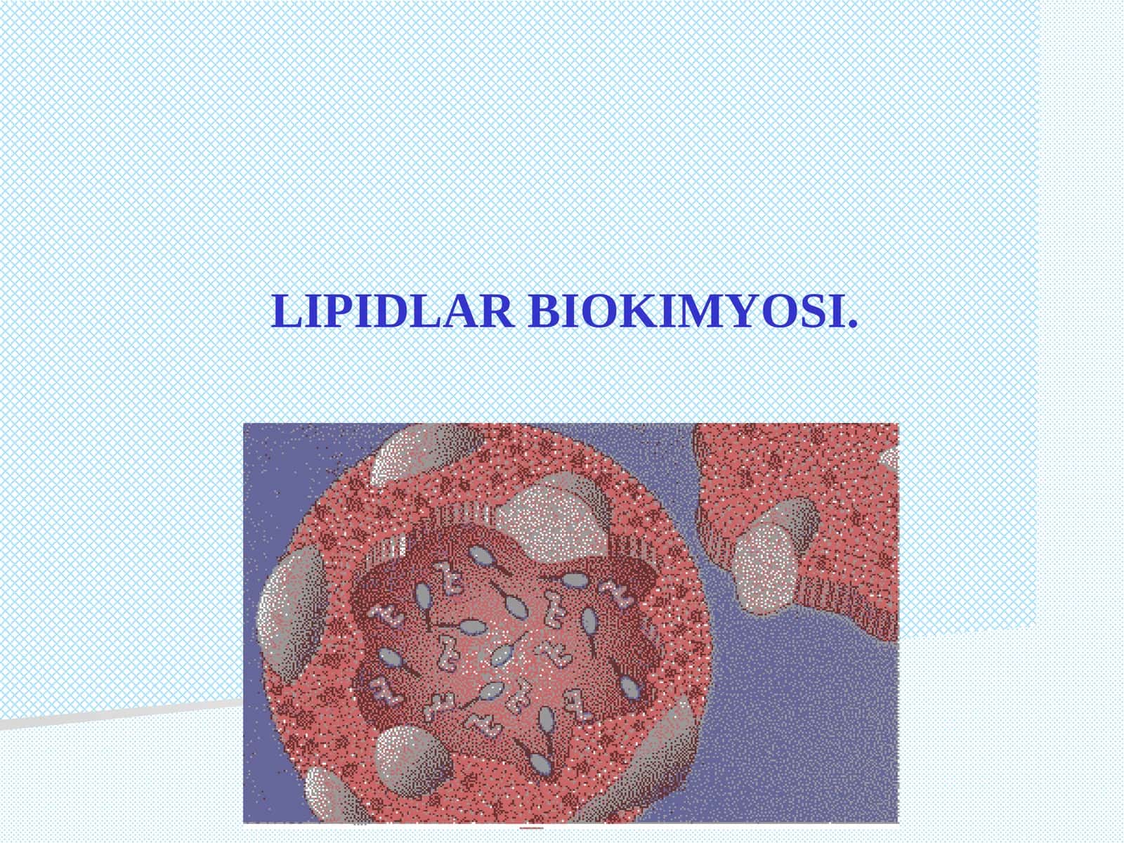 LIPIDLАR BIOKIMYOSI 1