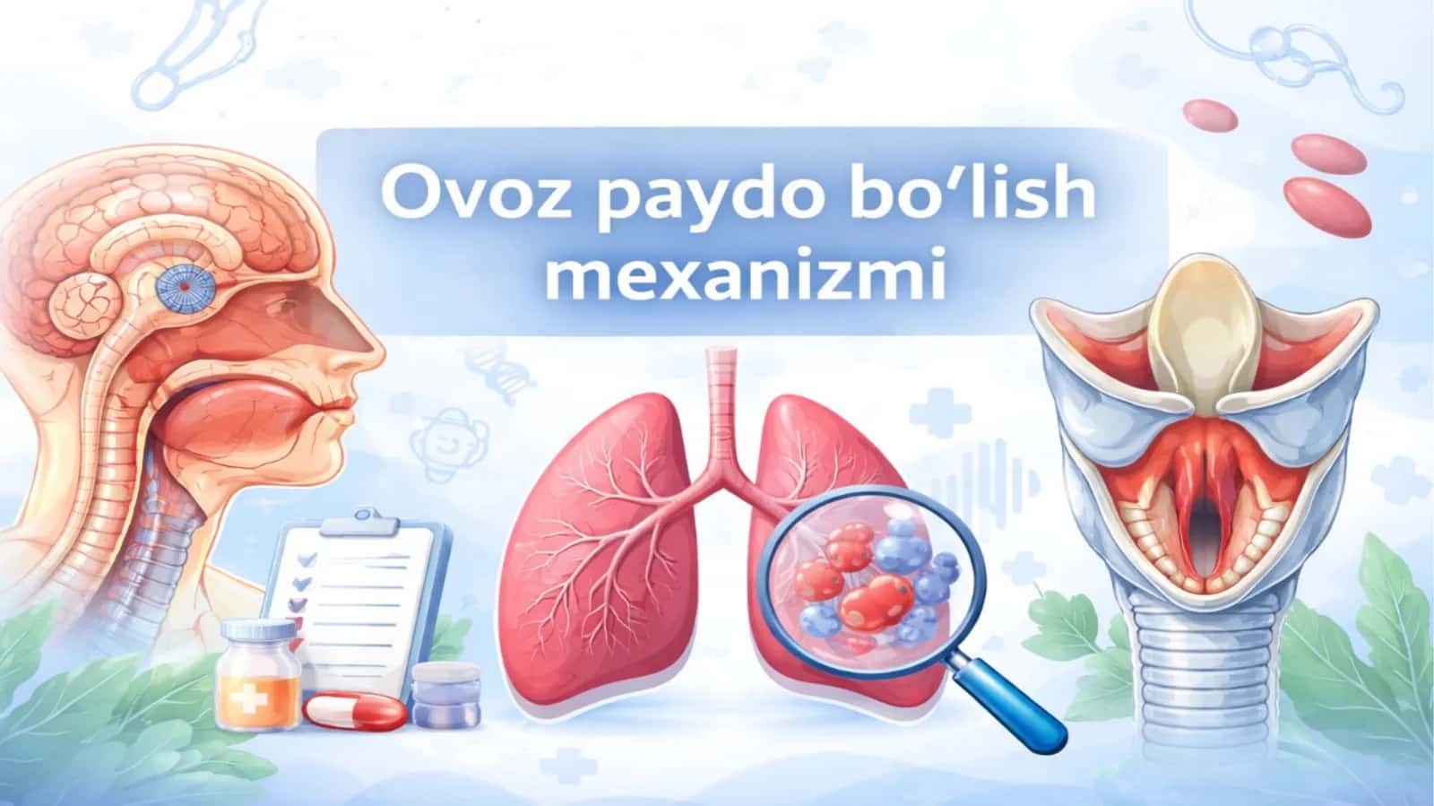 Ovoz paydo boʻlish mexanizmi 1