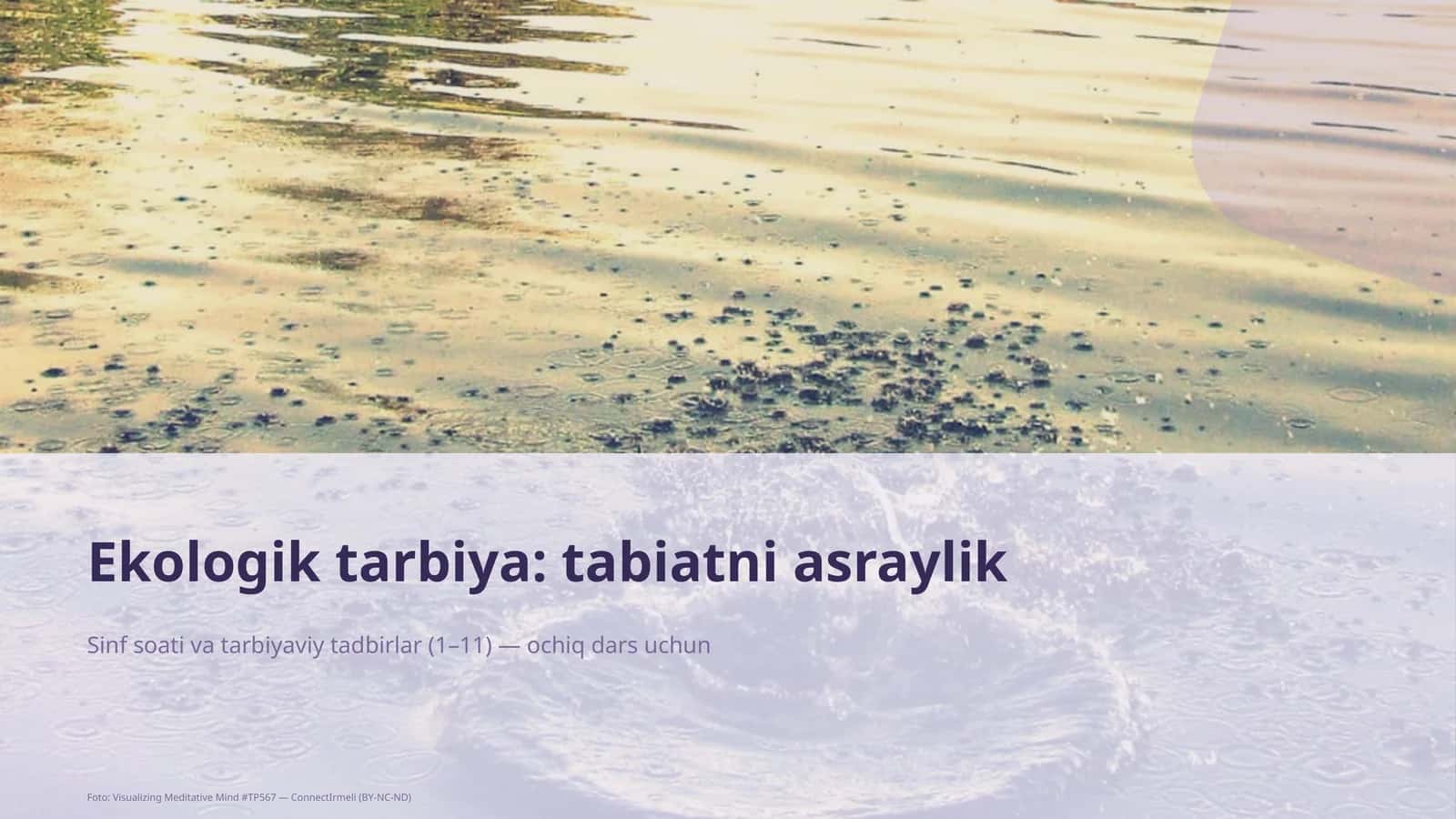 Ekologik tarbiya: tabiatni asraylik 1