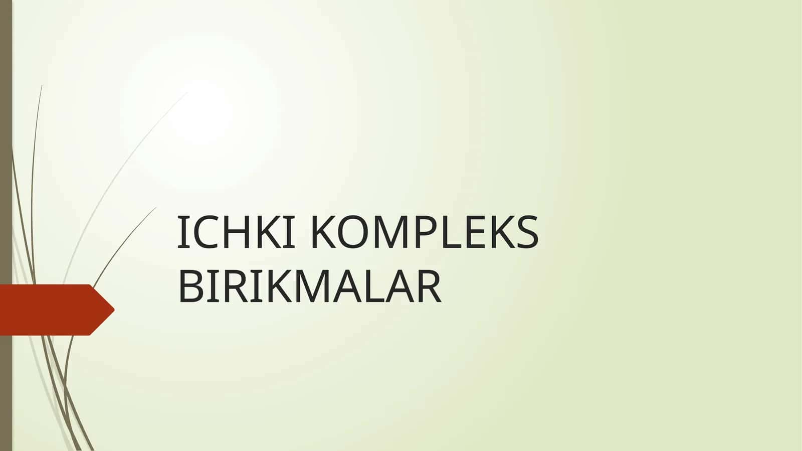 Ichki kompleks birikmalar 1