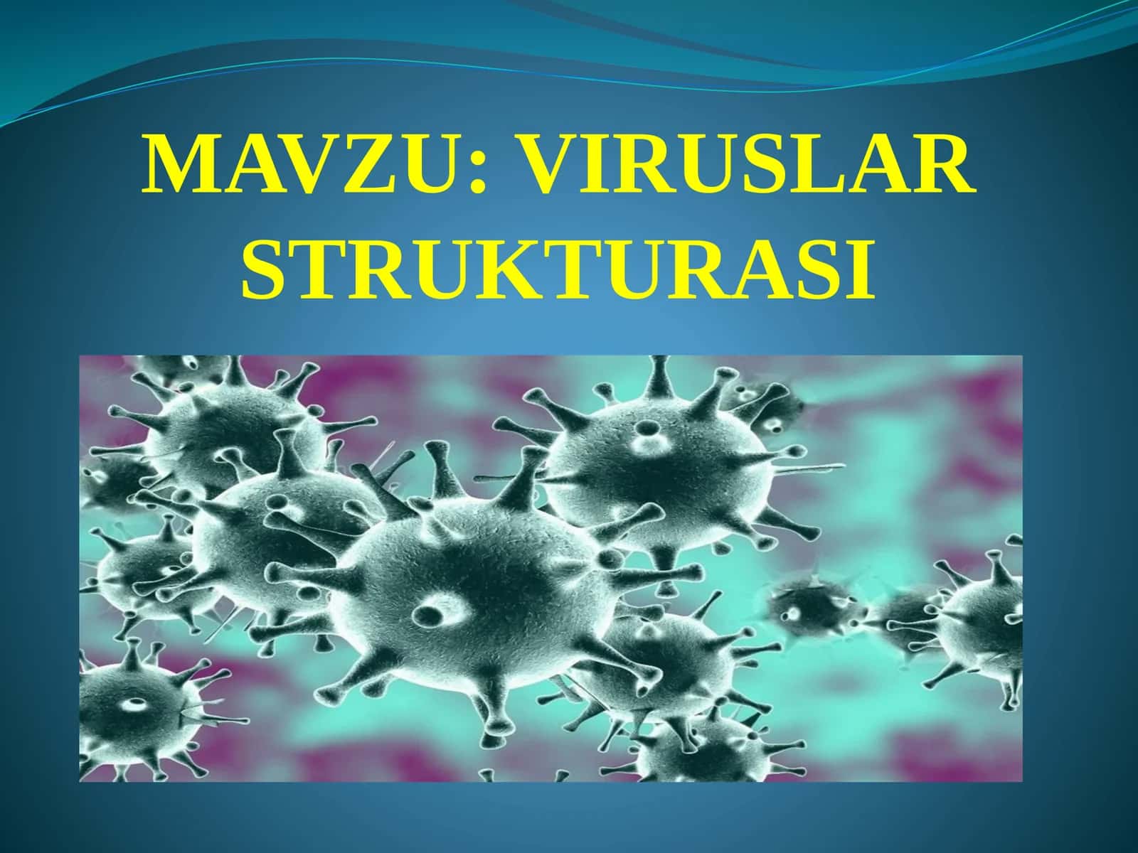 VIRUSLAR STRUKTURASI 1