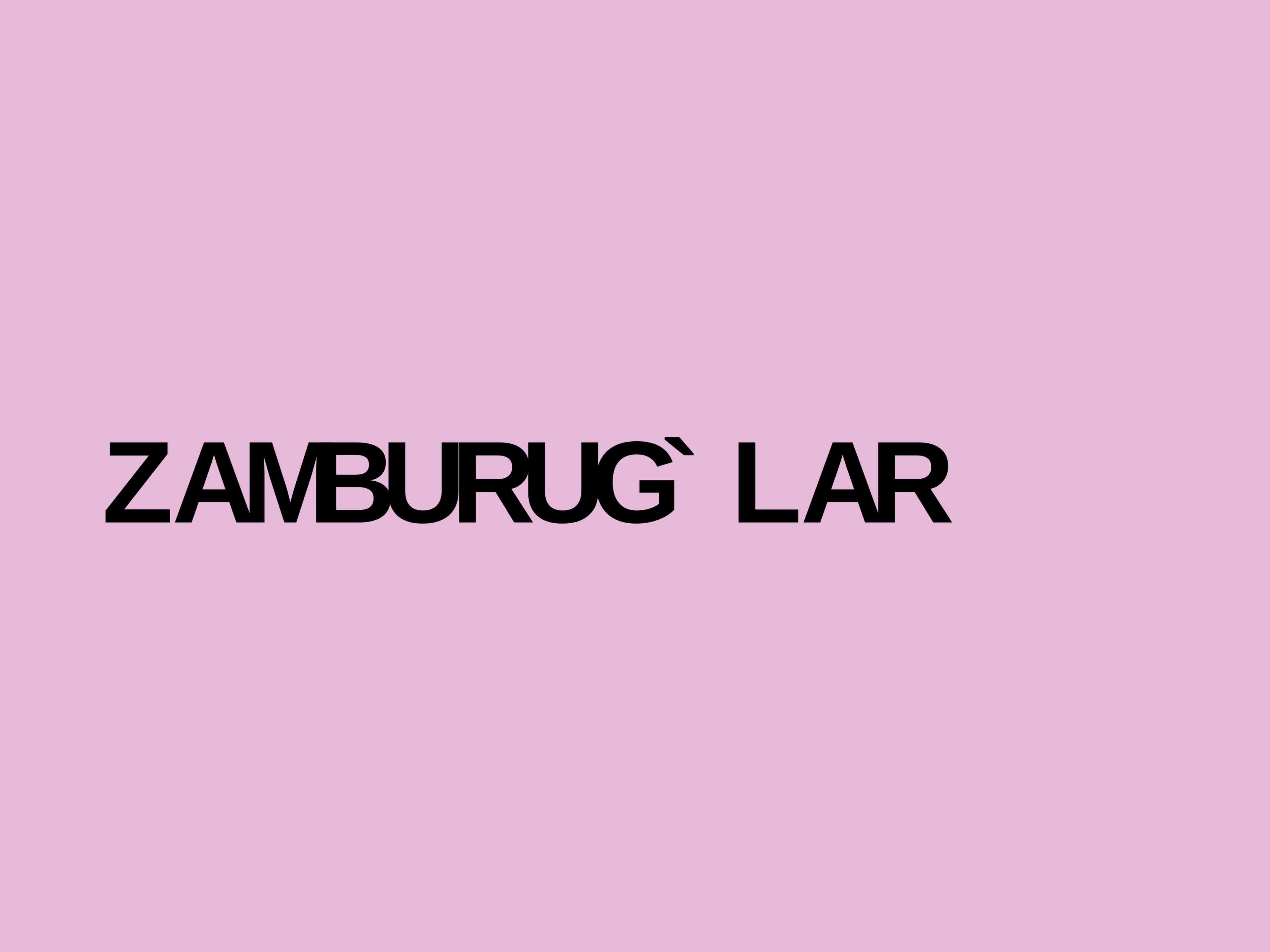 ZAMBURUG`LAR