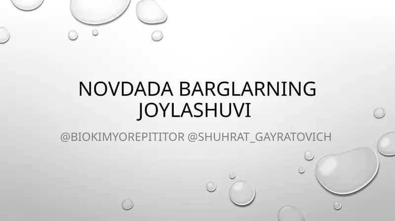 Novdada barglarning joylashuvi 1