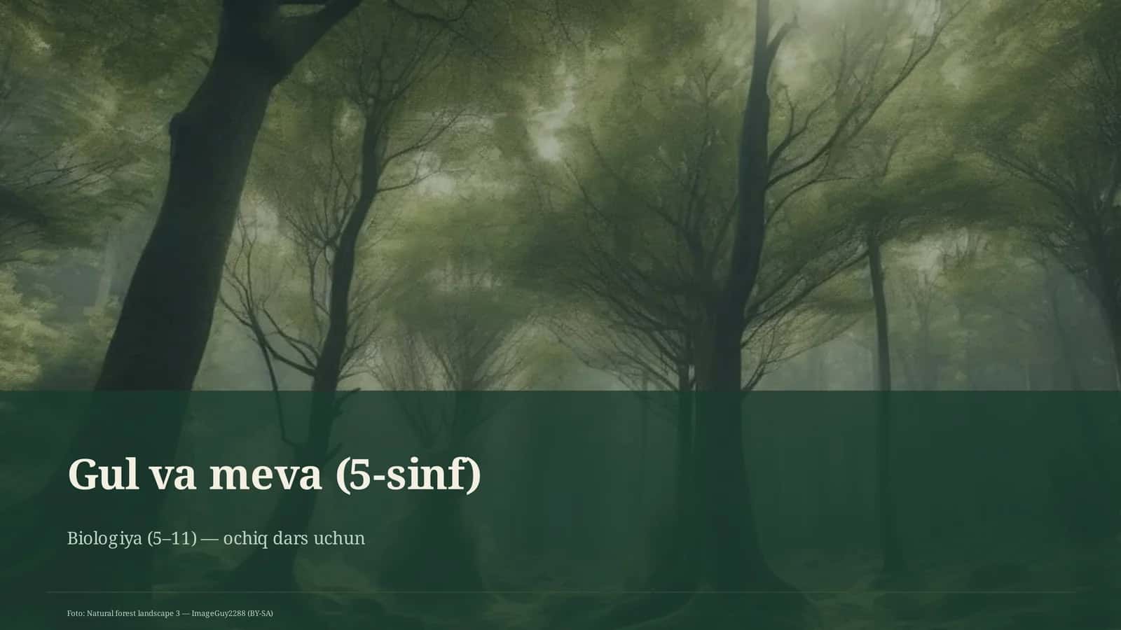 Gul va meva (5-sinf) 1