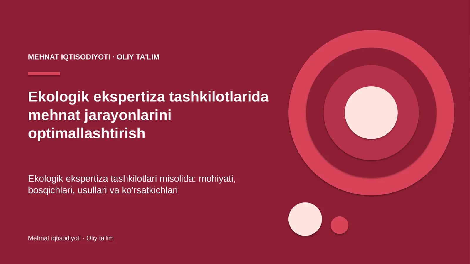 Ekologik ekspertiza tashkilotlarida mehnat jarayonlarini optimallashtirish 1