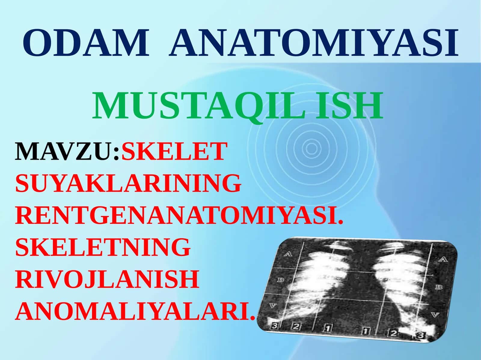 ODAM ANATOMIYASI 1