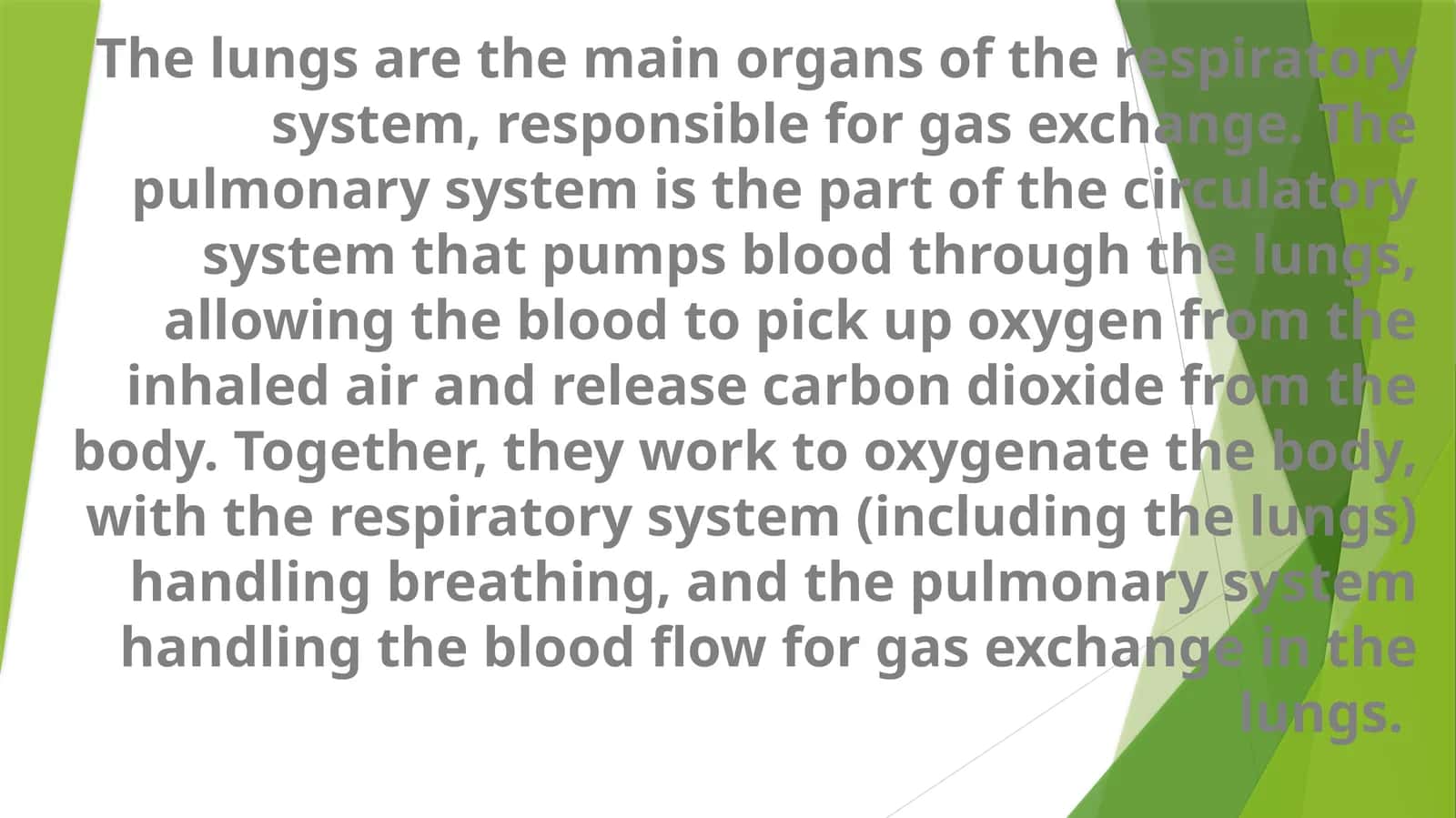 The Lungs and Pulmonary System 1