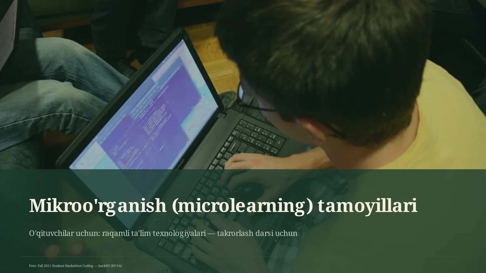 Mikroo'rganish (microlearning) tamoyillari 1