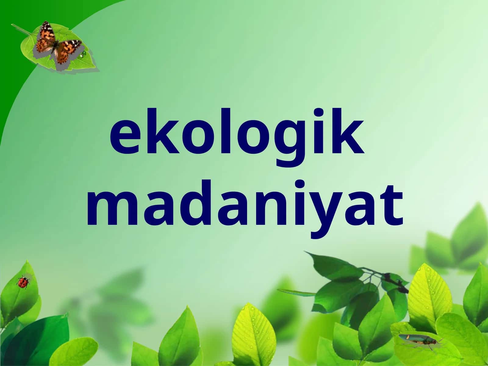 EKOLOGIK MADANIYAT 1