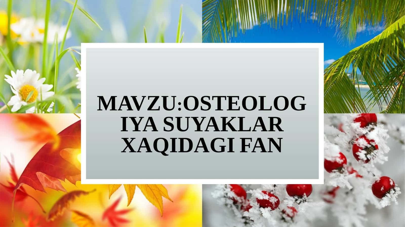 OSTEOLOGIYA SUYAKLAR XAQIDAGI FAN 1