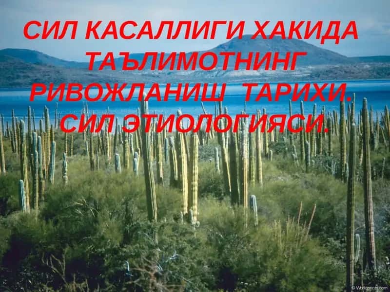 Сил касаллиги хакида таълим 1
