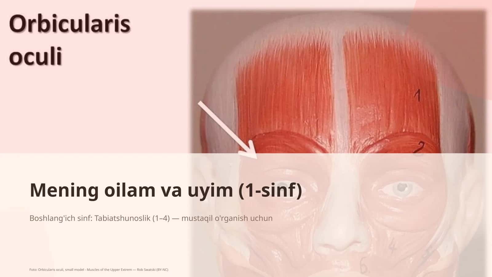 Mening oilam va uyim (1-sinf) 1