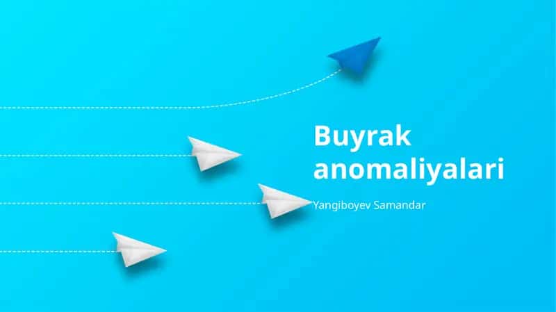 Buyrak ektopiyasi 1