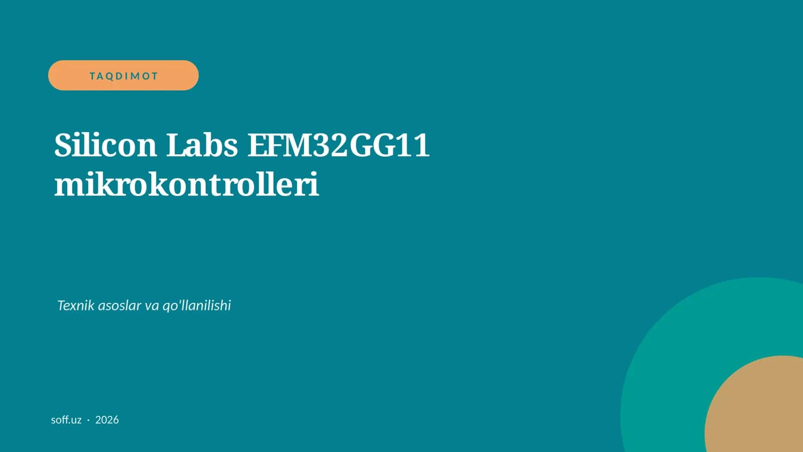 EFM32GG11 mikrokontrolleri 1