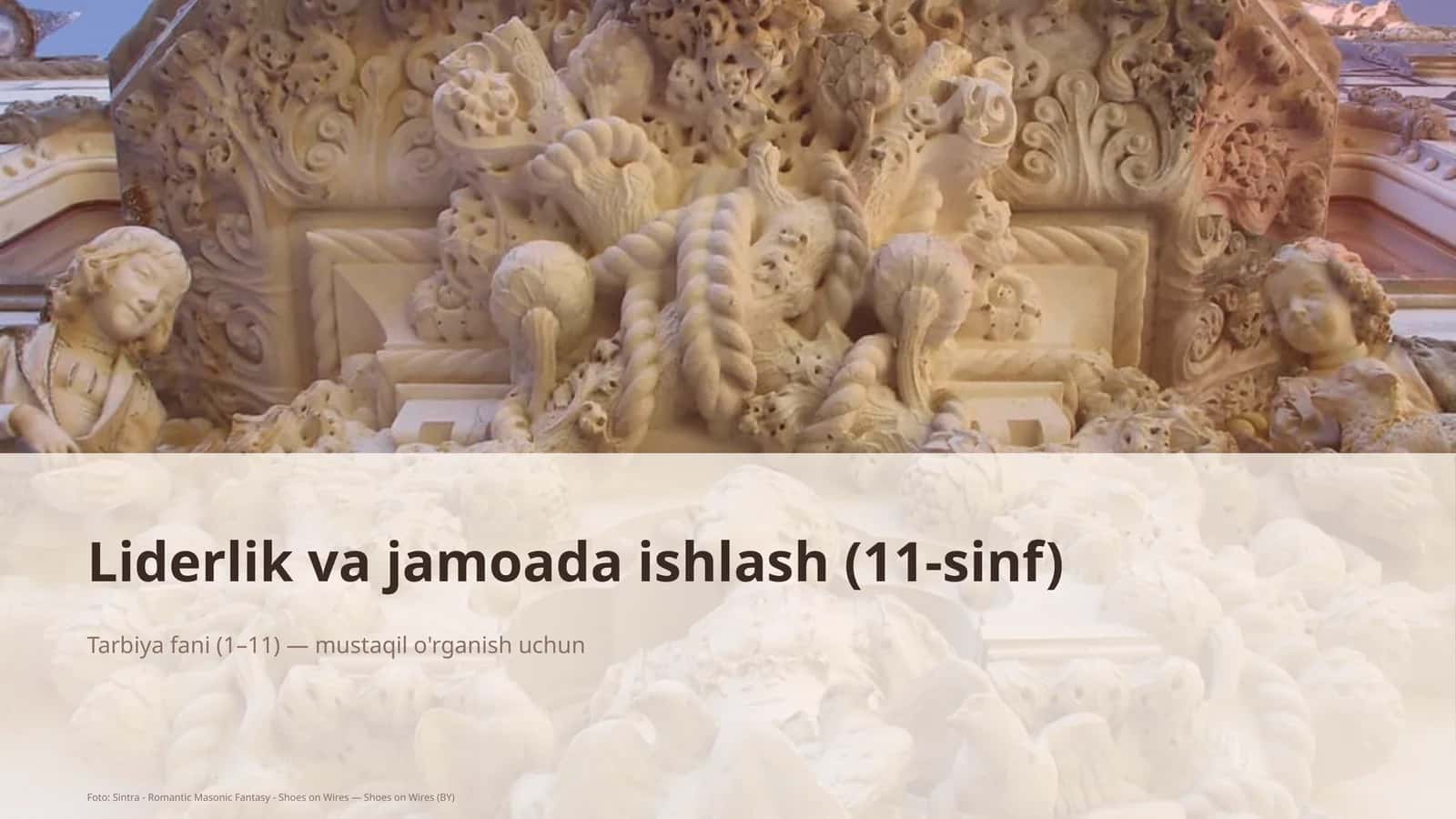 Liderlik va jamoada ishlash (11-sinf) 1