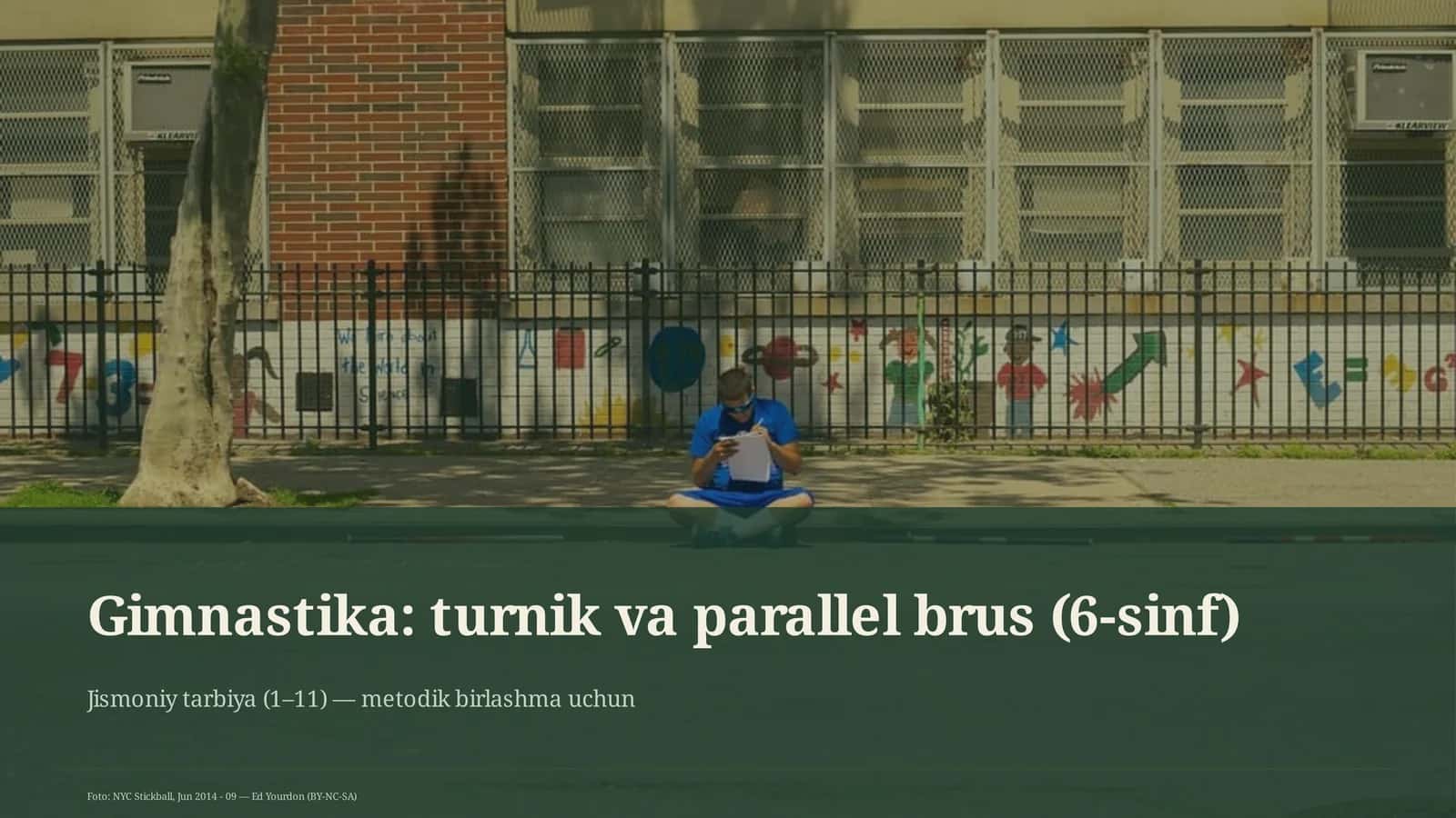 Gimnastika: turnik va parallel brus (6-sinf) 1