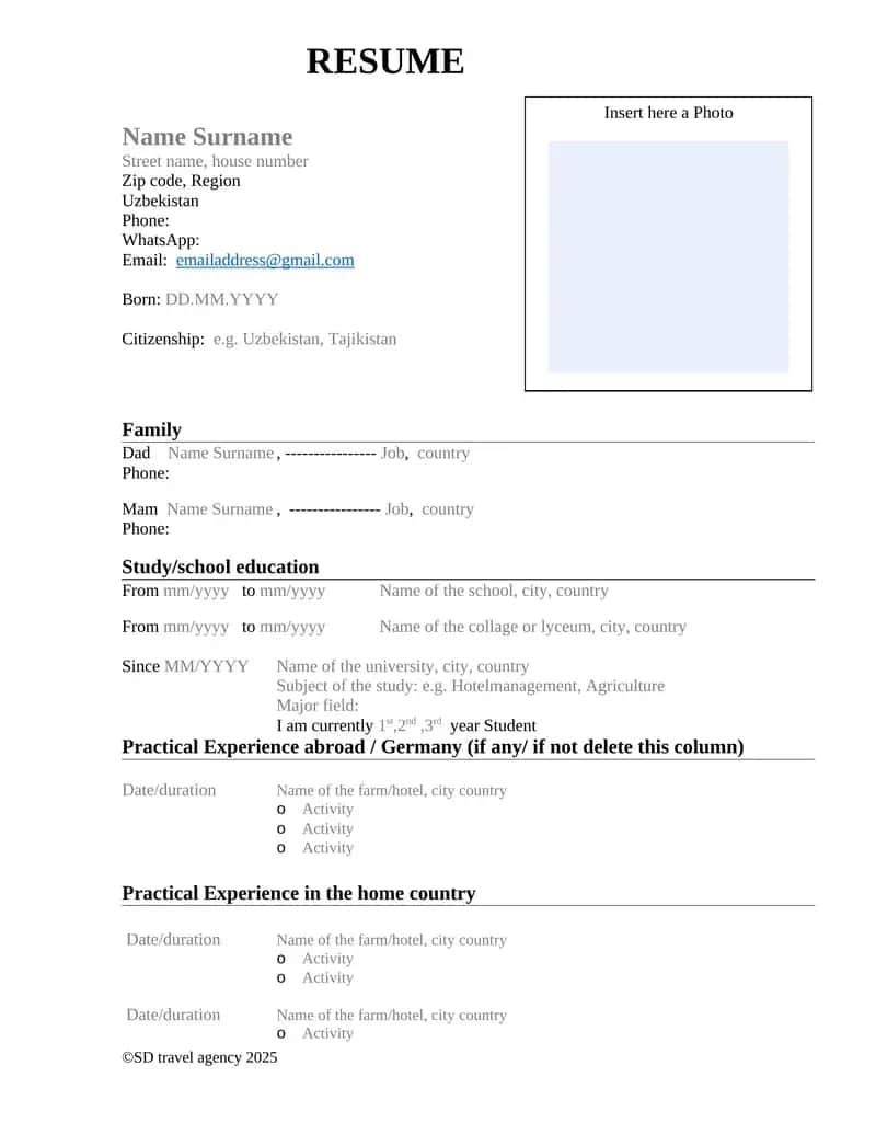 CV (Curriculum Vitae) 1