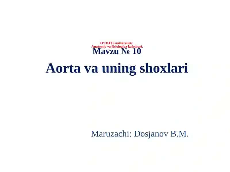 Aorta va uning shoxlari