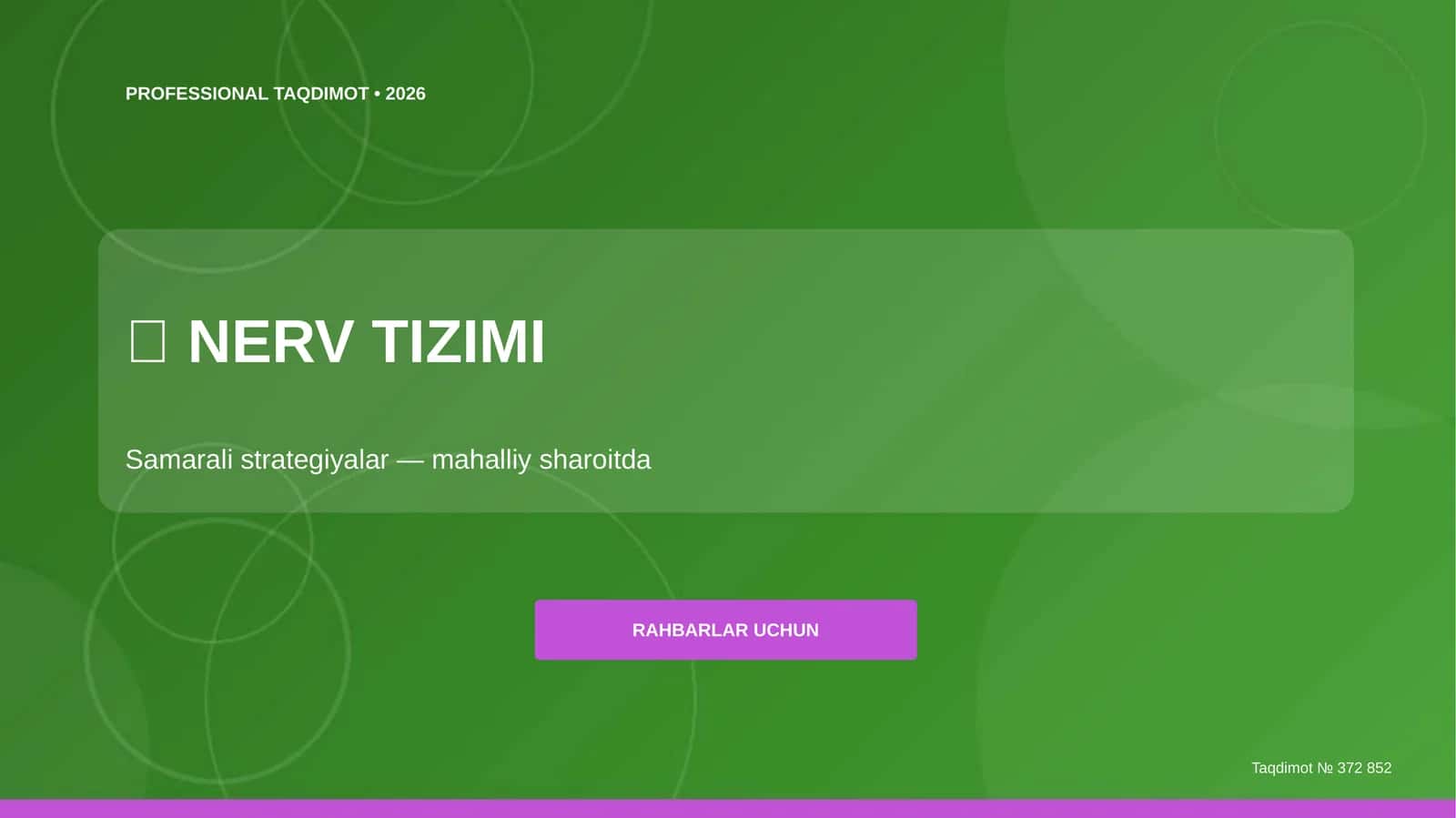 PROFESSIONAL TAQDIMOT • 2026 1