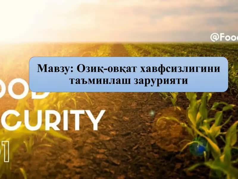 Очарчилик 1