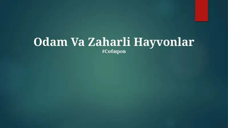 Zaharli Hayvonlar 1