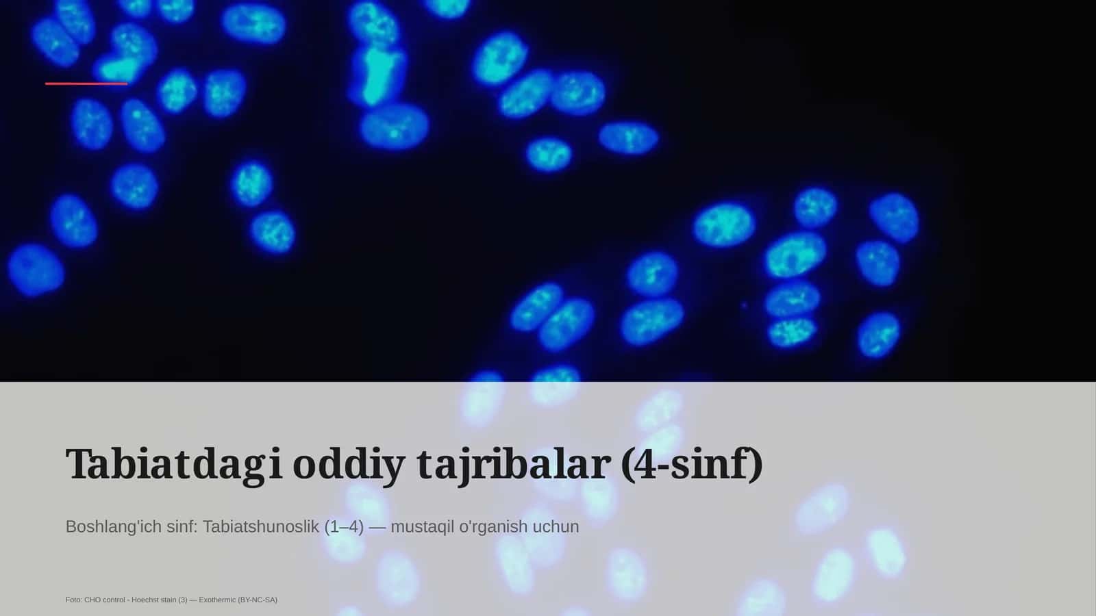 Tabiatdagi oddiy tajribalar (4-sinf) 1