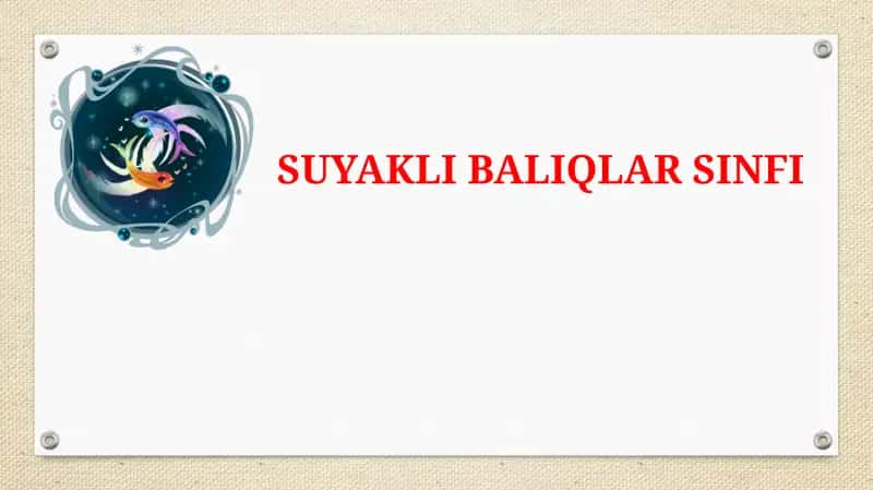 Tog’ayli baliqlar sinfi 1