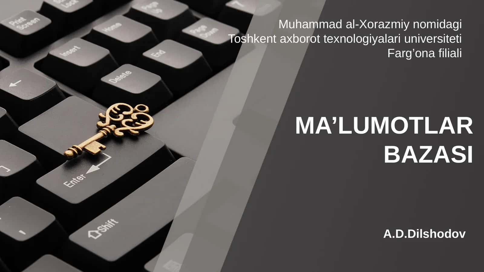 Ma’lumotlar bazasi modeli 1