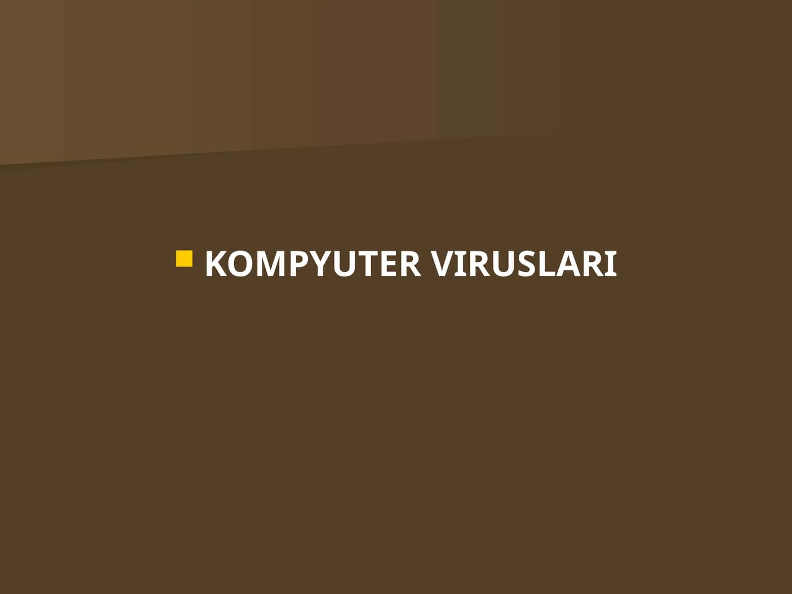 KOMPYUTER VIRUSLARI 1