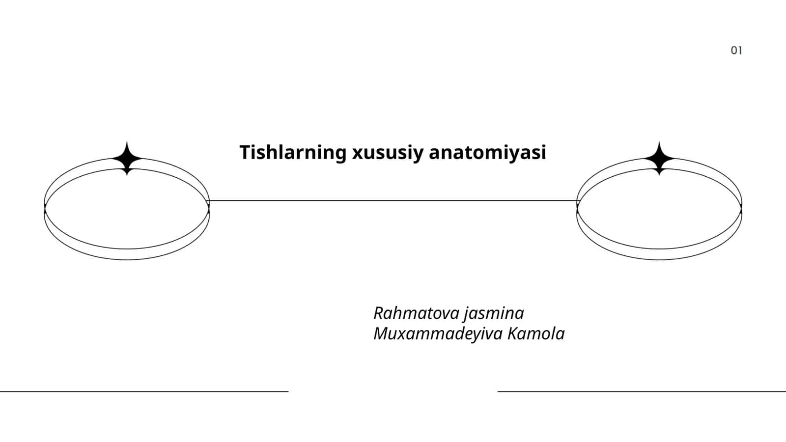 Tishlarning xususiy anatomiyasi 1