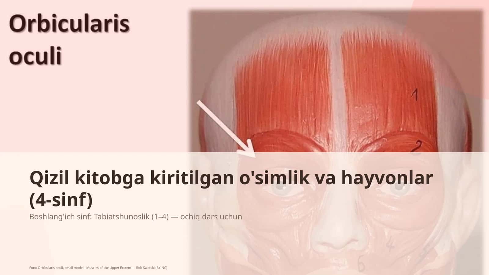 Tabiatshunoslik (1– 4) 1