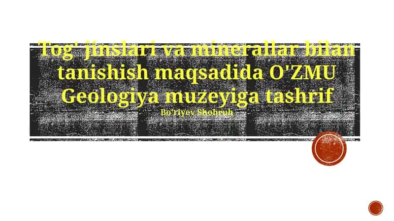 NUU Geologiya Muzeyi 1