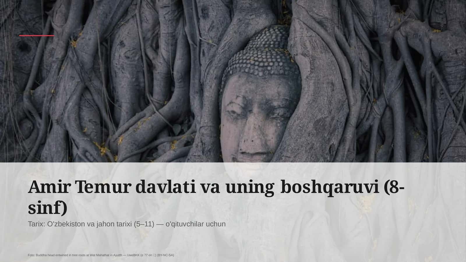 Amir Temur davlati va uning boshqaruvi (8-sinf) 1