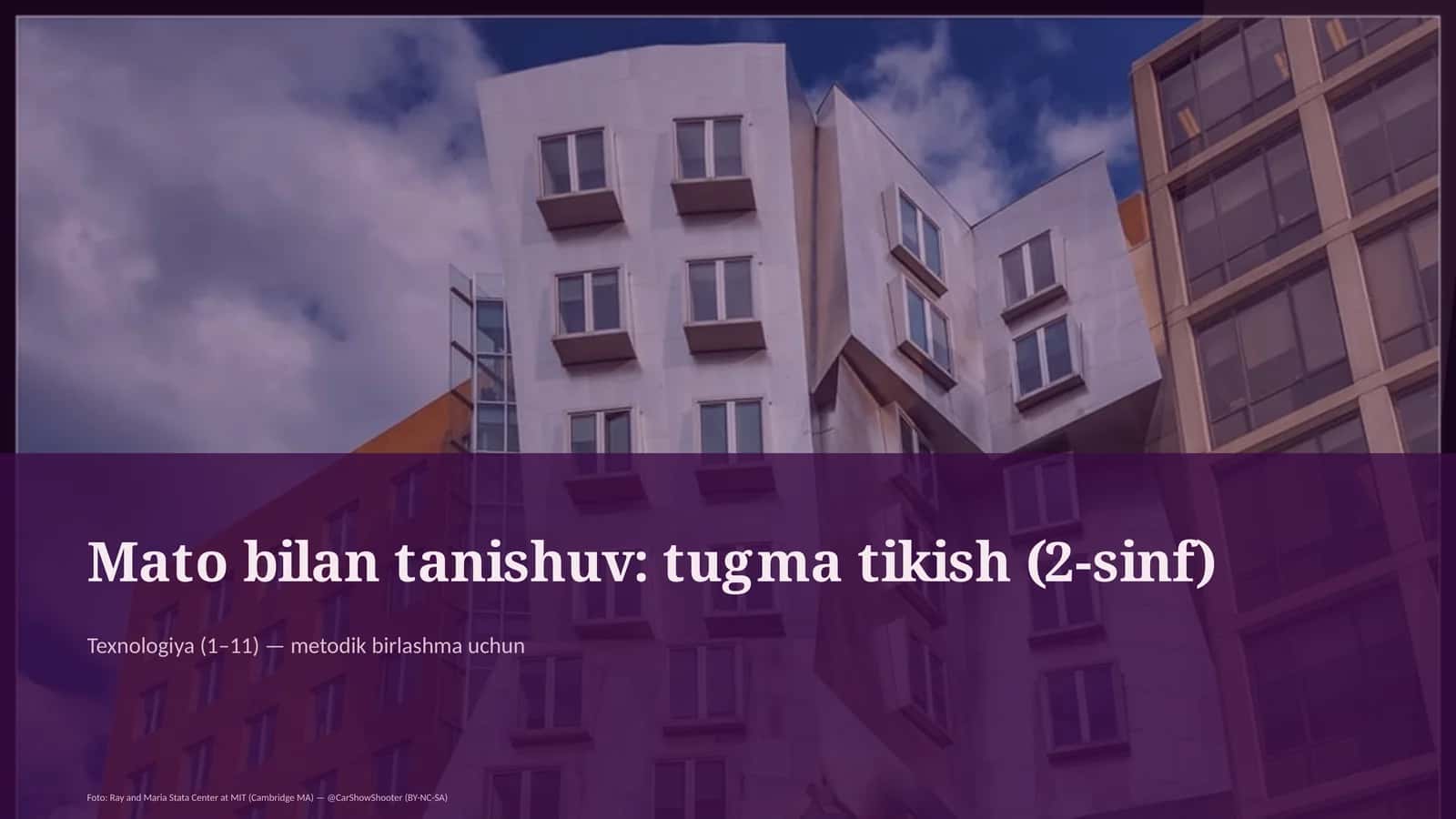 Mato bilan tanishuv: tugma tikish (2-sinf) 1