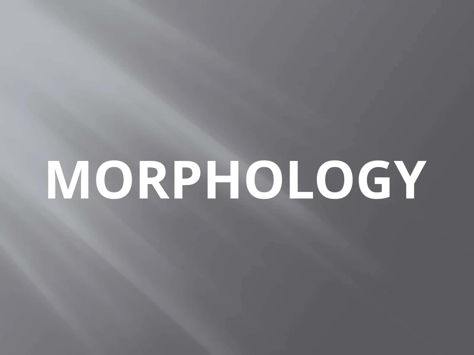 MORPHOLOGY 1