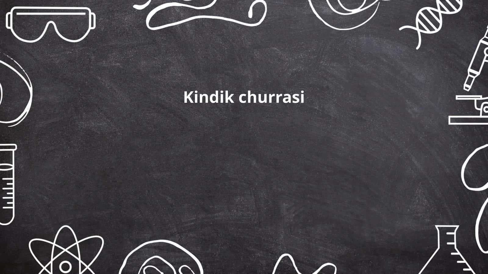 Kindik churrasi 1