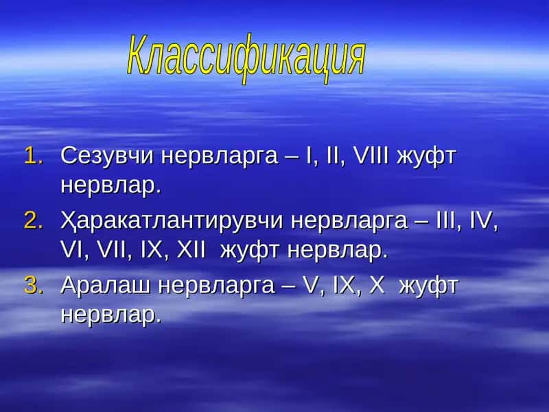 Бош мия нервлари I,II, III, IV, V, VI 1