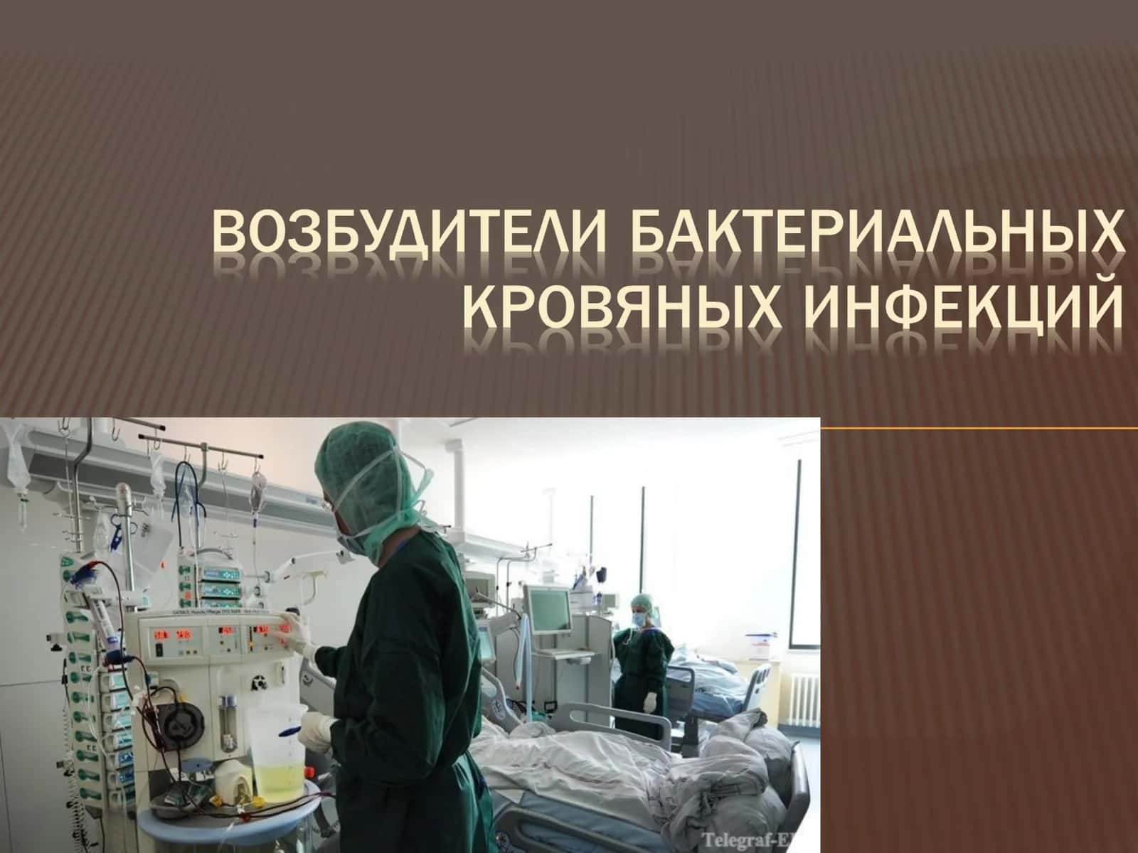 Возбудитель чумы 1