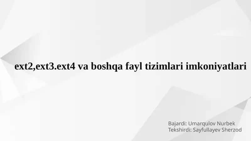 EXT File System 1