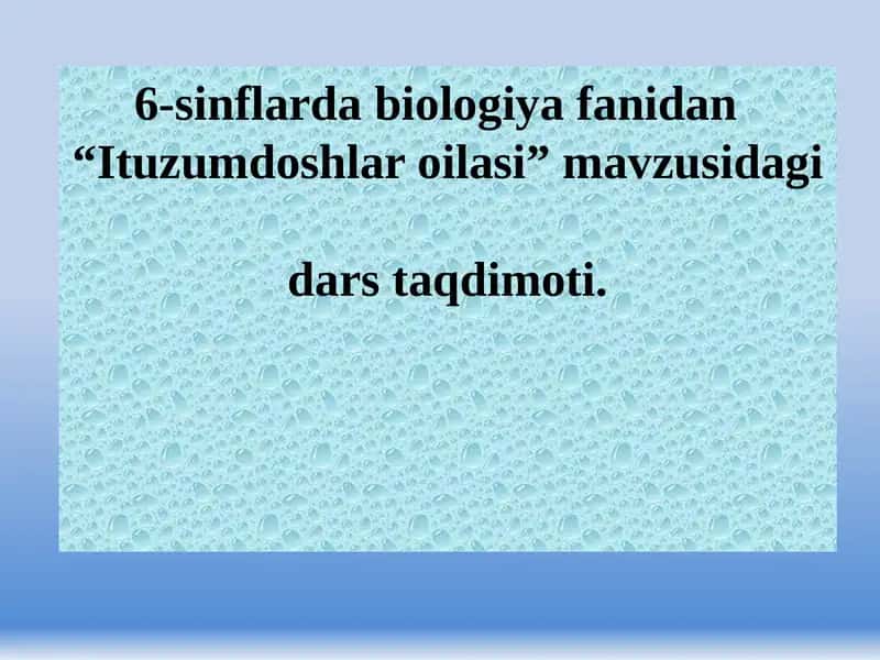 Ituzumdoshlar oilasi 1