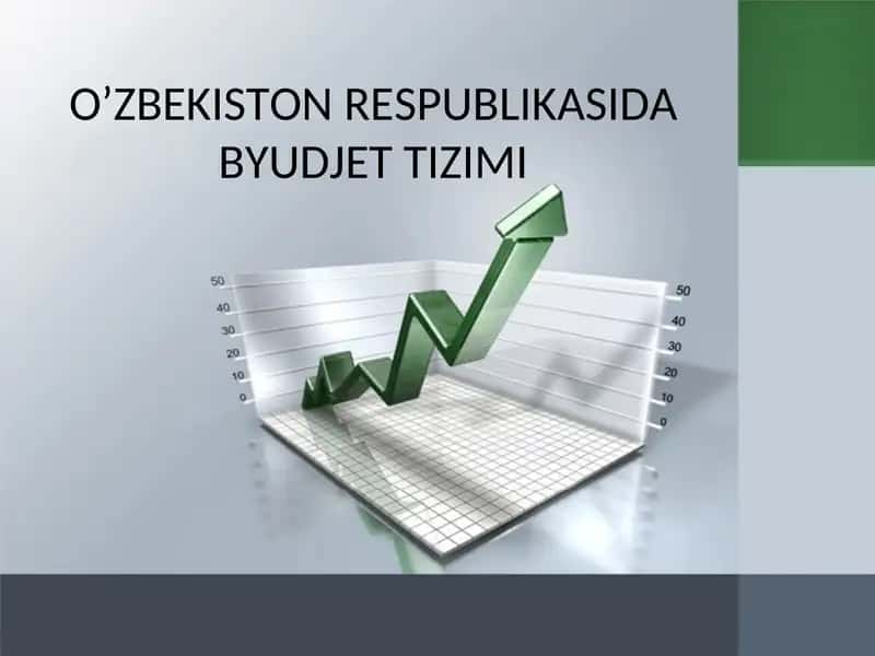 Byudjet Tizimi 1