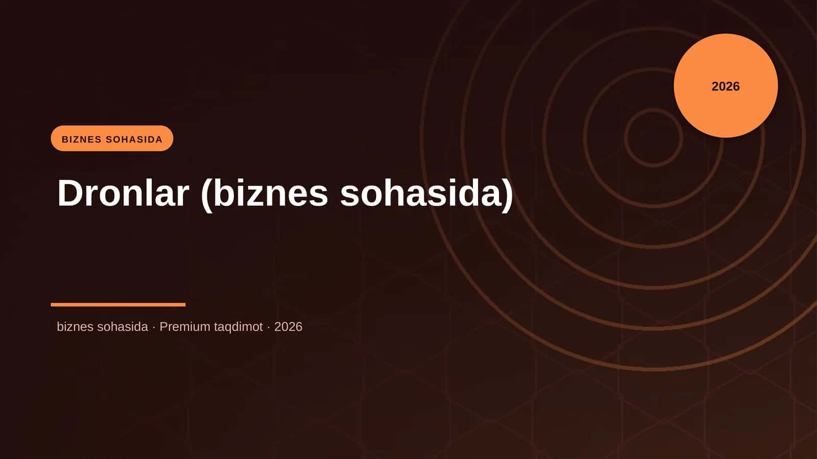 Dronlar (biznes sohasida) 1