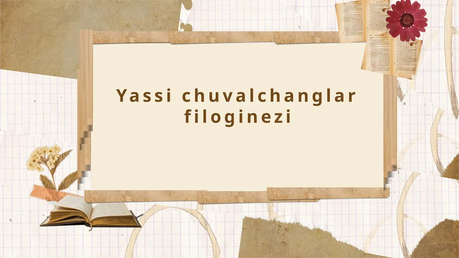 Yassi Chuvalchanglar Filogenezi 1